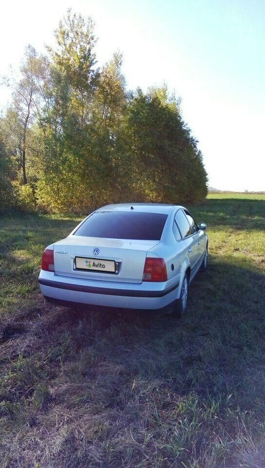Volkswagen Passat: фото владельца