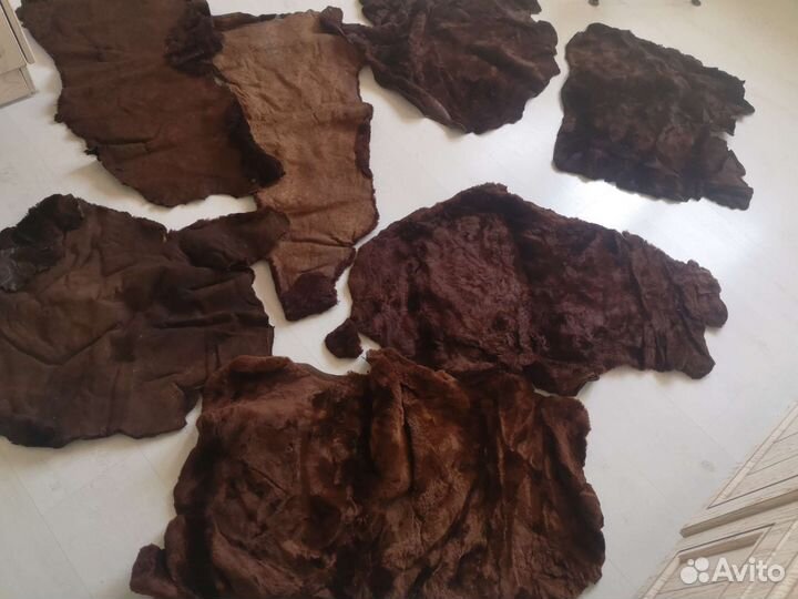 Шкуры мутон