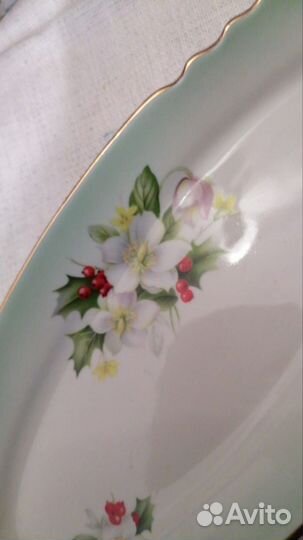 Овальное блюдо Дулево