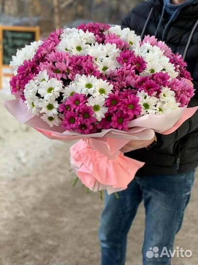 Разноцветные ромашки и другие цветы