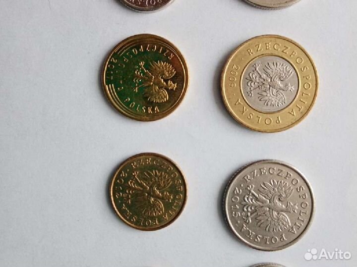 Польские злотые