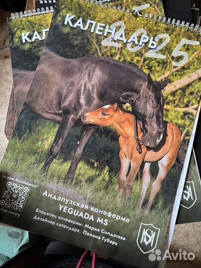 Календарь с лошадьми 2025