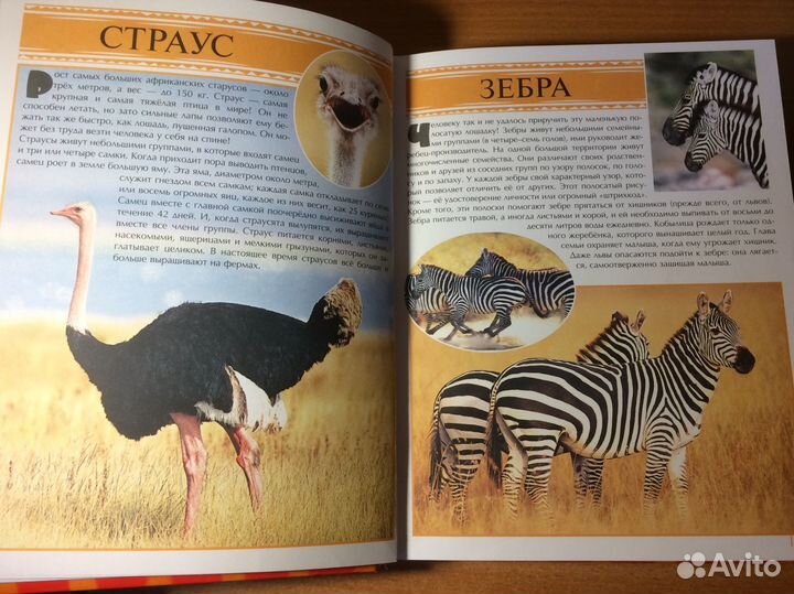 Развивающие энциклопедии для детей