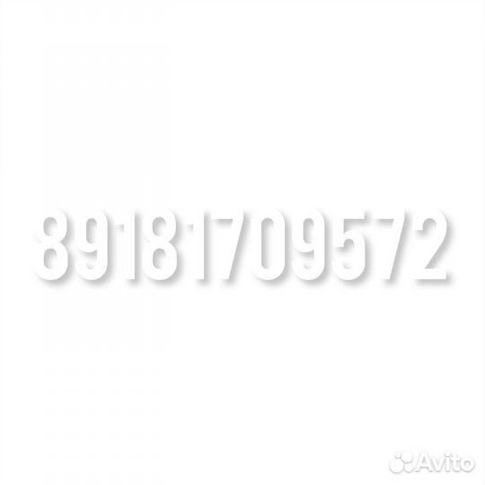 Конные прогулки, походы