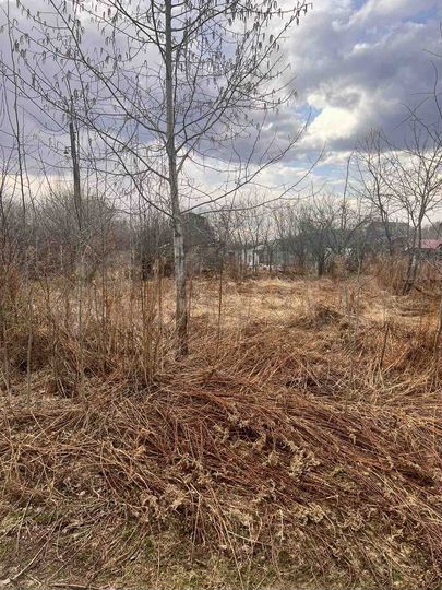 Дача 20 м² на участке 4 сот.