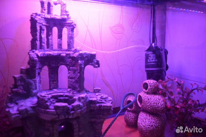 Аквариум Aqua Plus на 72 литра со светильником