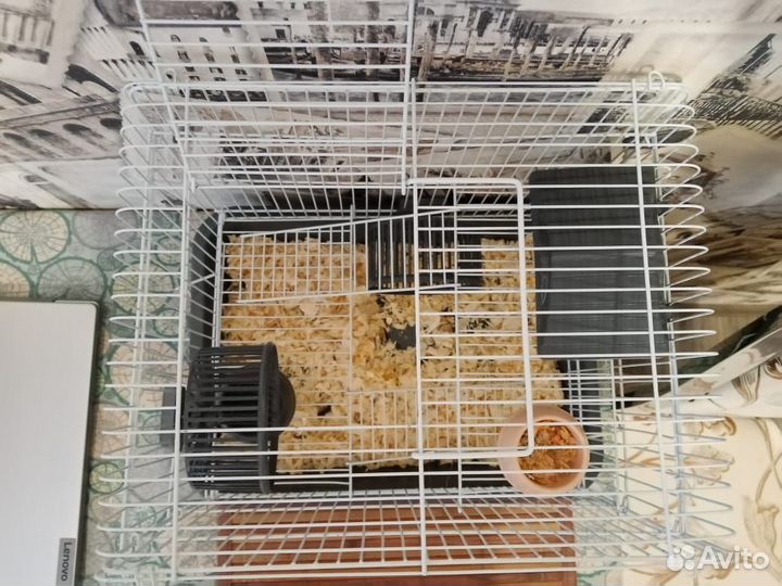 Клетка для грызунов