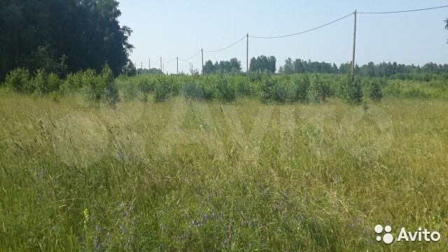 Участок 10 сот. (СНТ, ДНП)