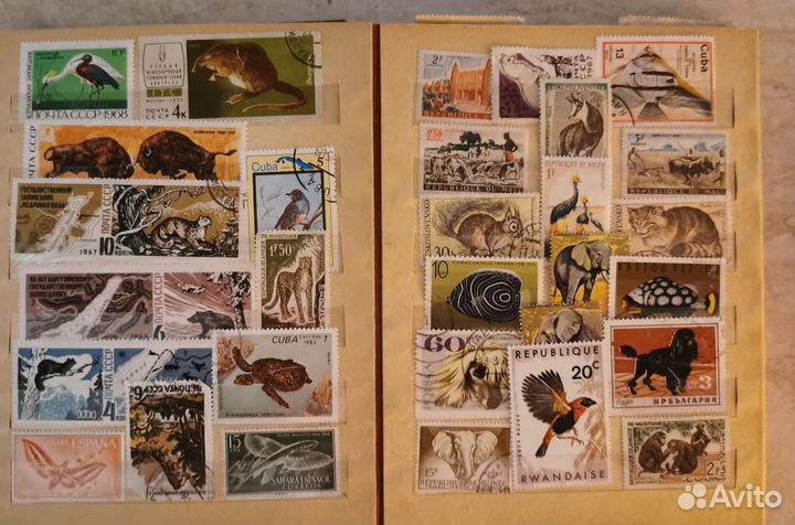 Почтовые марки СССР и иностранные Животные