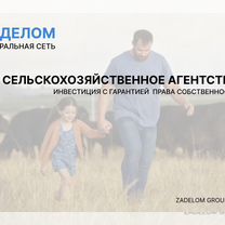 Сельскохозяйственное агентство в городе Магадан, Магадан