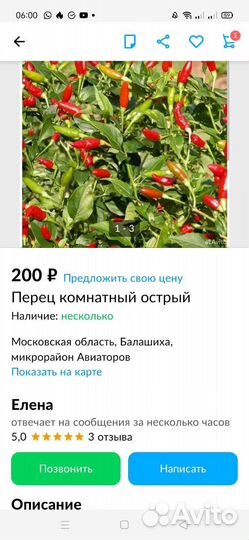 Рассада перцев
