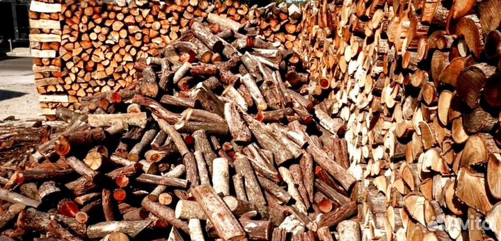 Дрова береза от производителя