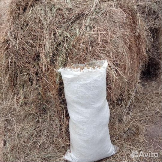 Сено в мешках (2023)