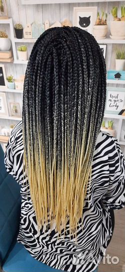 Афро косы, брейды