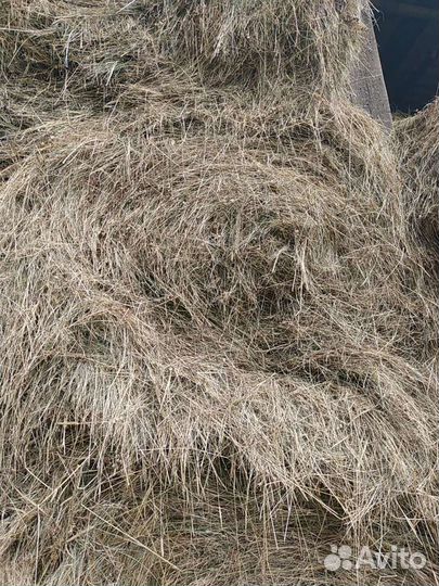 Сено в рулонах 2023