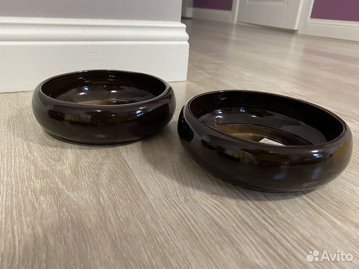 Бонсайницы