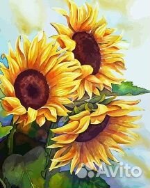 Картины раскраски по номерам новые