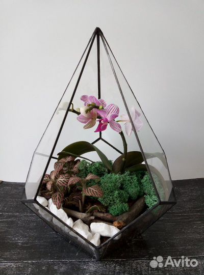 Подарки Флорариумы