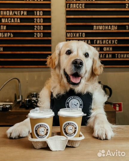 Бариста в кофейню