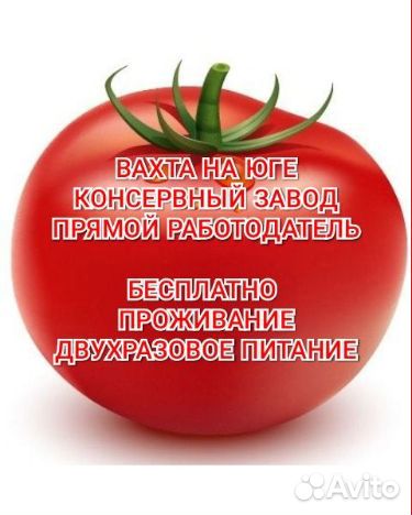 Консервация овощей вахта с проживанием питанием