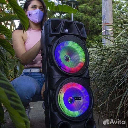 Огромные колонки с пультом микрофоном