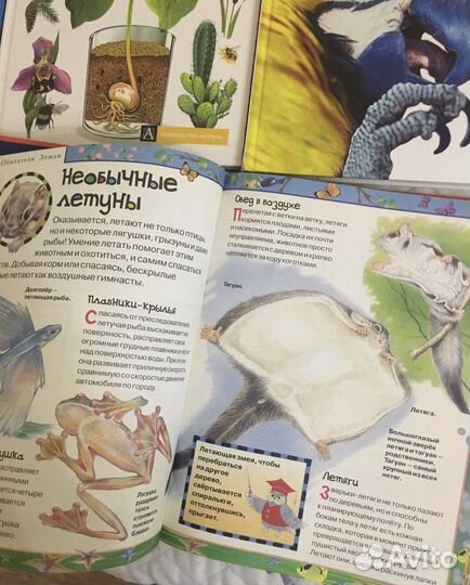Книги энциклопедии