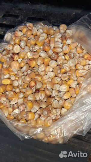 Кукуруза цельная и дробленая в мешках