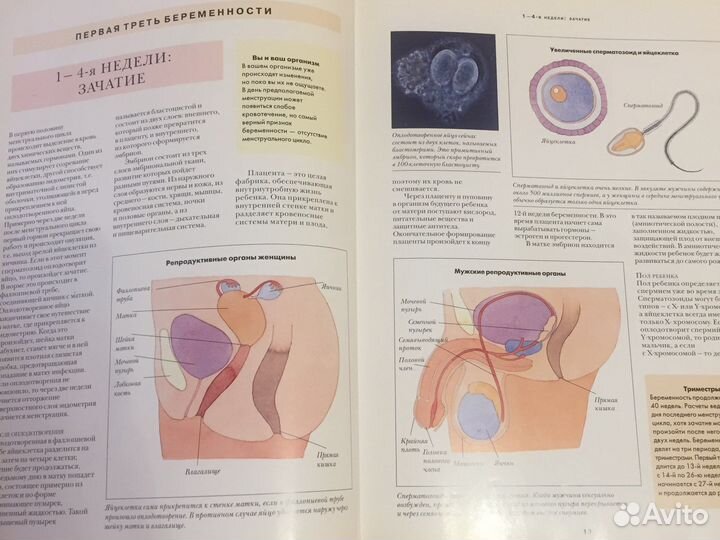 Мать и дитя Э. Маккоунчи