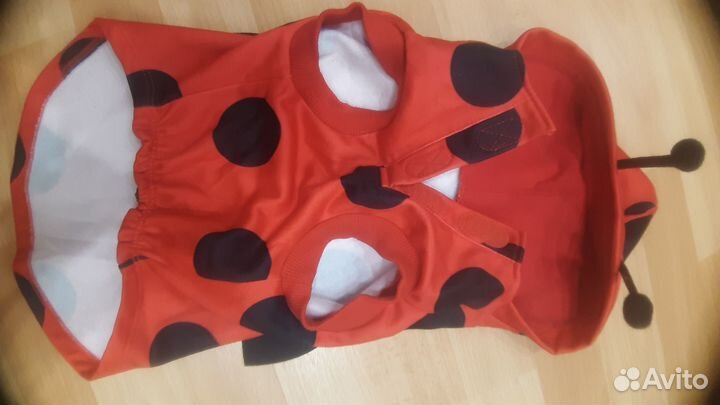 Костюм для собаки