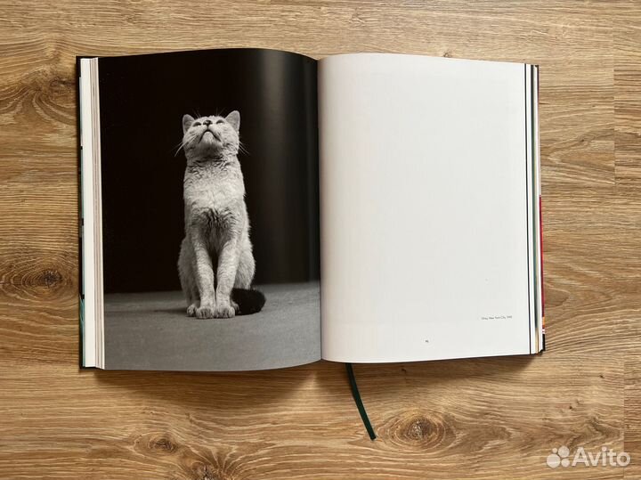 Интерьерная книга The book of cats Walter Chandoha