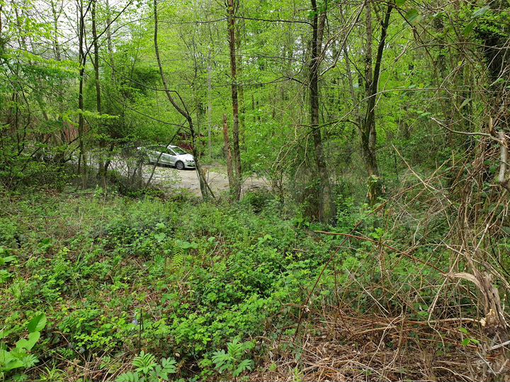 Участок 4,6 сот. (СНТ, ДНП)