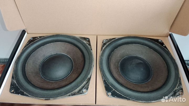 Динамики 50 гдн