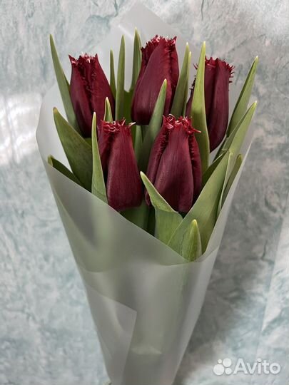 Тюльпаны в наличии