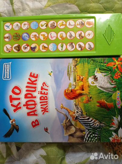 Развивающая книга