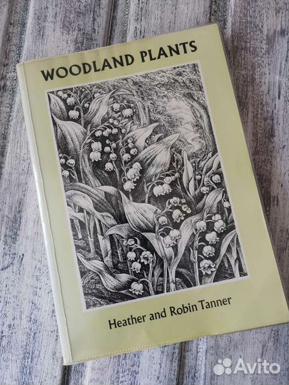 Книга на английском.Винтажная книга,графика