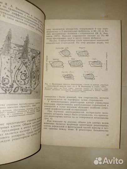 Физиологические функции вестибулярной системы