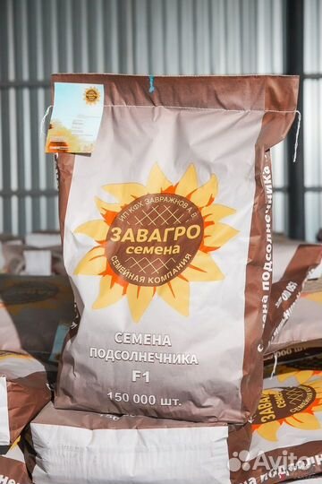 Семена подсолнечника под экспресс