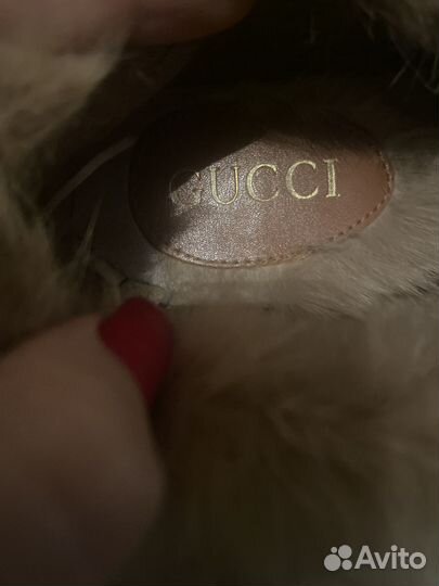 Мужские Ernesto Dolani и Женские Gucci