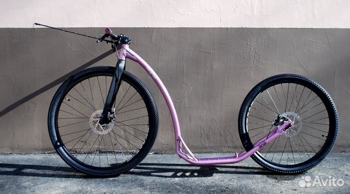 Скутер Dervish (ездовой спорт)