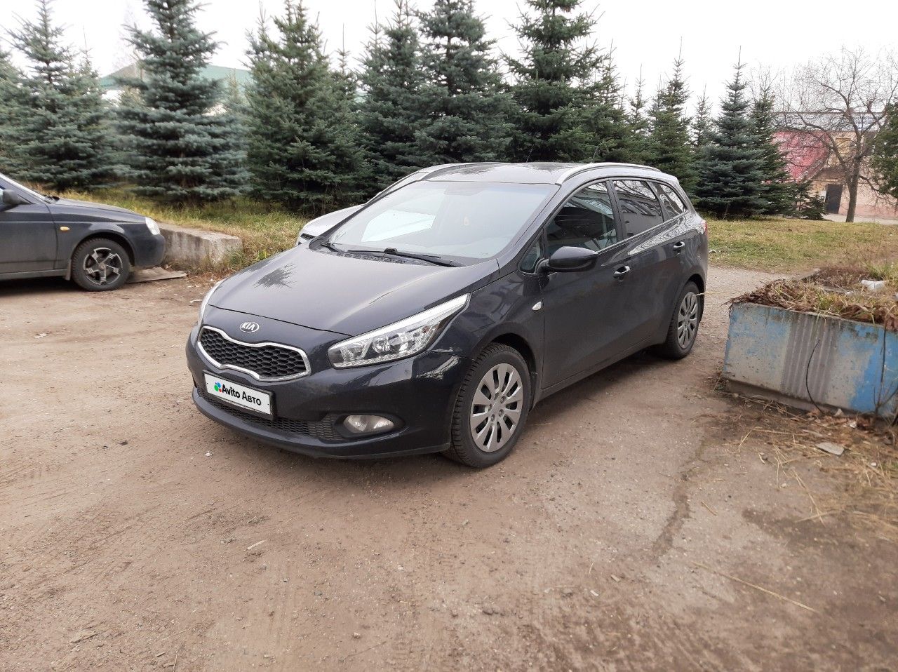 Kia Ceed: фото владельца