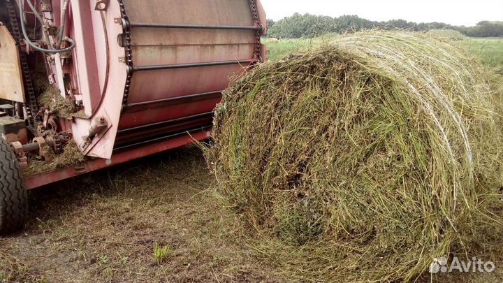 Продам сено в тюках луговое и люцерна