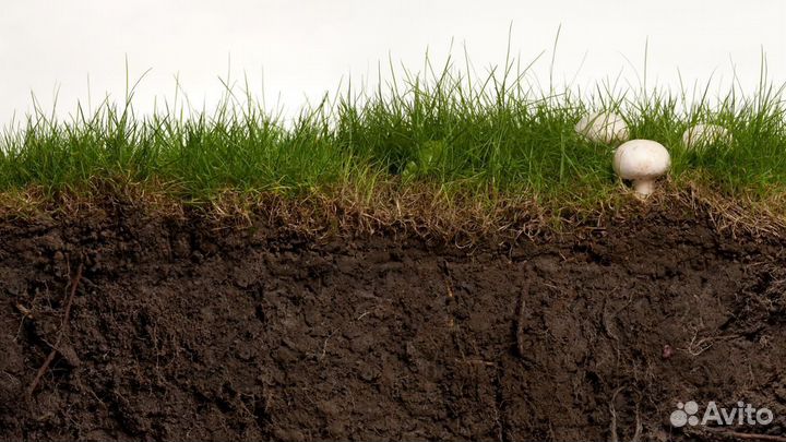 Земля плодородная