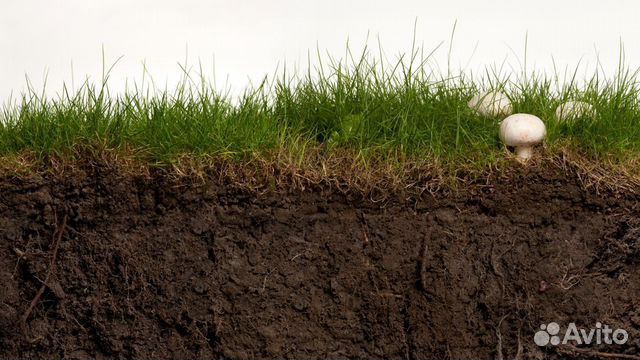 Земля плодородная