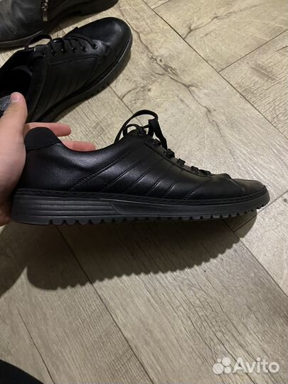 Мужская обувь t.taccardi