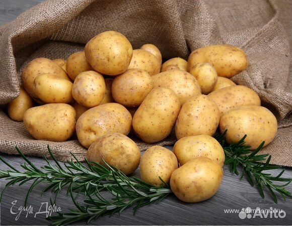 Продам картофель
