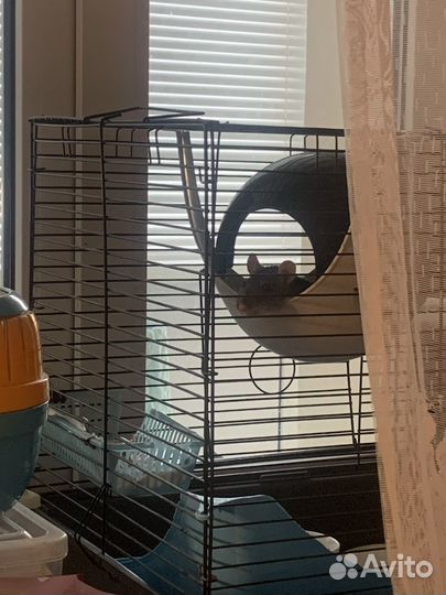 Домик для грызунов