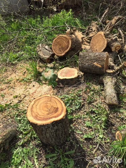 Дрова сомовывоз