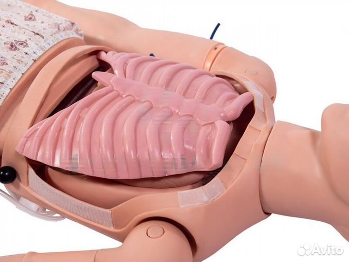 Манекен-симулятор для отработки навыков пунктирова