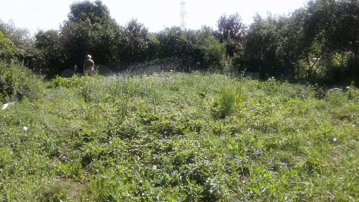 Участок 5 сот. (СНТ, ДНП)