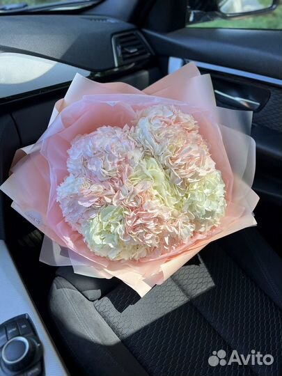 Букет гортензий Цветы Доставка